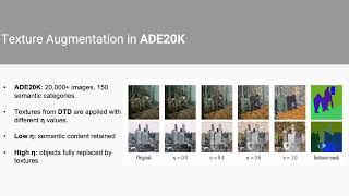 Decoupling Shape and Texture in SAM-2 via Controlled Texture Replacement (WACV 2026)