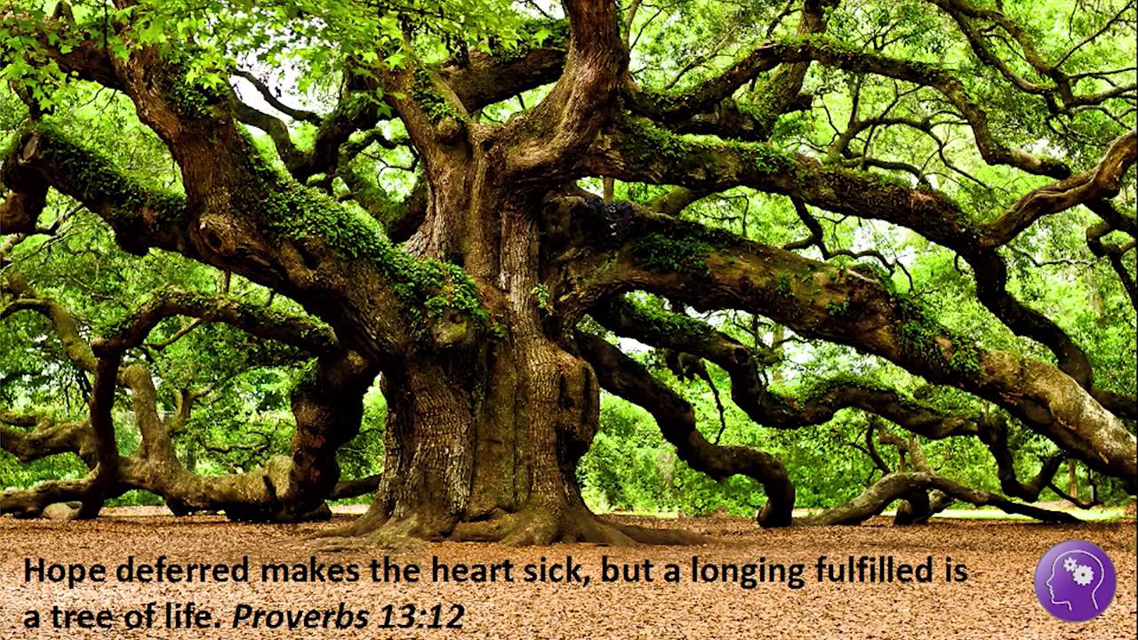 Vision - January 2015 by Dr. David Erb - YouTube