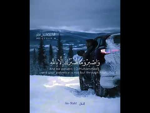 قرآن كريم بصوت القارئ فارس عباد أجمل حالات واتس اب دينية مقاطع دينية قصيرة مقاطع انستقرام دينية