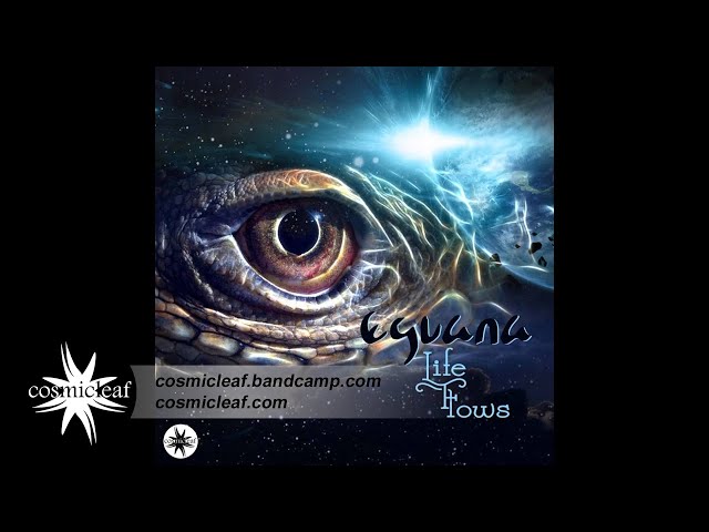 Eguana - Moonshot