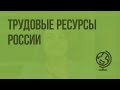 Трудовые ресурсы России. Видеоурок по географии 8 класс