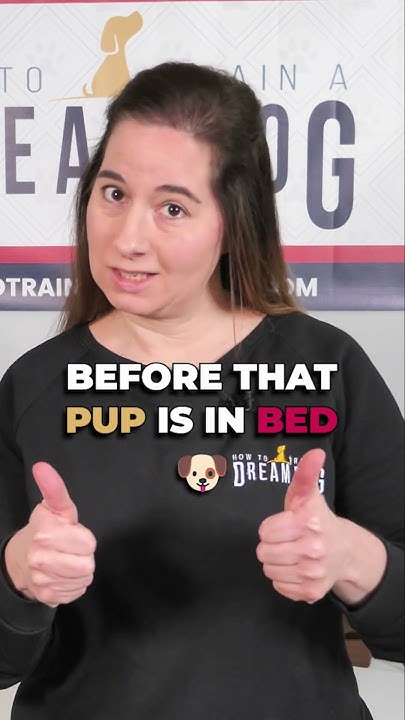 when-can-puppy-sleep-in-bed-puppyshorts-puppytrainer-youtube