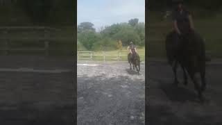 Top class event / show prospect - ad ref: 259095 video 1