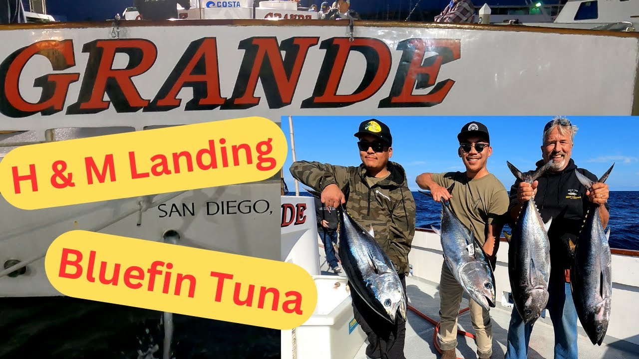 Springtime Bluefin Tuna Grande Sportfishing H M Landing San Diego CA Springtime bluefin tuna grande sportfishing h m landing san diego ca