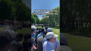 Adam Scott sends this shot flying towards the crowd #australia #pgatour #golf #adamscott