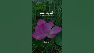 أذكار المساء 🩷🌿//أجمل حالات واتساب دينيه🌸🌿