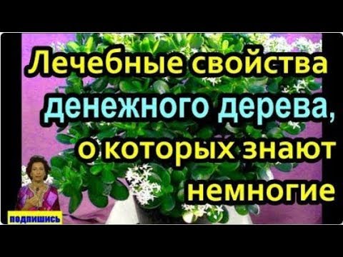 А так разве можно: 5 секретов макияжа, которые скрывают от нас профессиональные визажисты