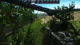 Customs Tree Rats