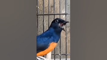 chúc cả nhà tuần mới tràn đầy năng lượng gặp nhiều niềm vui trong cuộc sống chúc gia đình  bình An