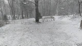 First Snow New Jersey - December 9, 2020