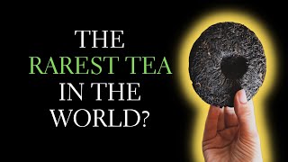 What's the Rarest Tea in the World? Exploring 5 Rare Tea Types and What Makes a Rare Tea