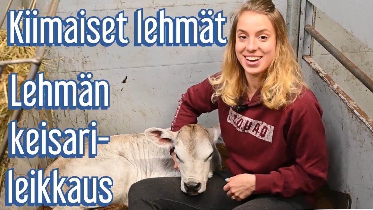 Keisalan tilan uutiset 14