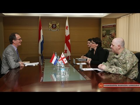 ჰოლანდია საქართველოს ავიაციის რეფორმაში დაეხმარება