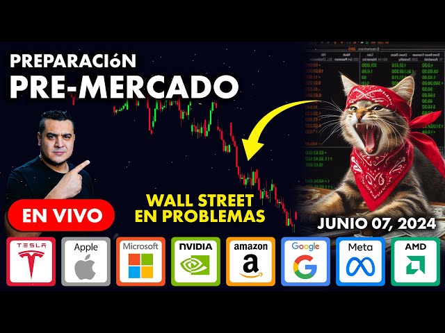 Un Gatito Destruirá Wall Street! Plan: Tesla, Apple, Google, Microsoft, Amazon, Meta, AMD class=