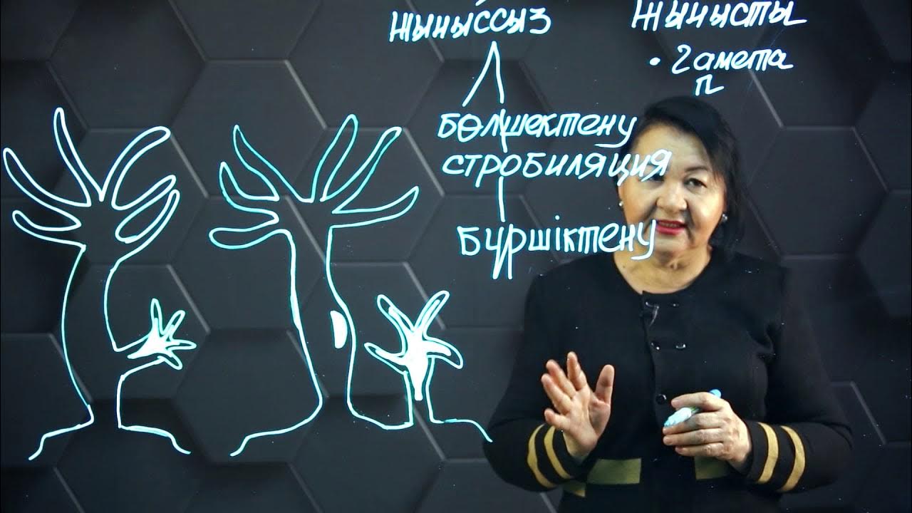 Памела Андерсон онлайн порно видео