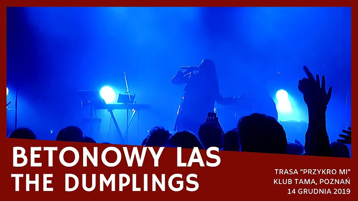 The Dumplings - Betonowy las (Trasa "Przykro mi", Tama, Poznań 2019)