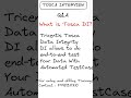 Unlocking TOSCA DI: Comprehensive Guide to Accelerate Testing in TOSCA #dataintegrity #trending