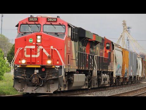 Afternoon grabs (5/26/22)