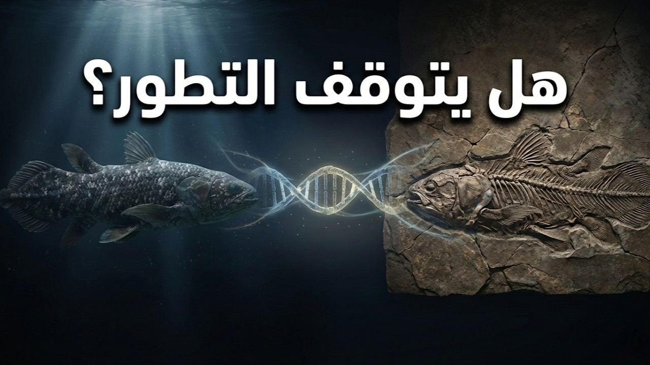 هل يتوقف التطور؟ الحقيقة العلمية الكاملة