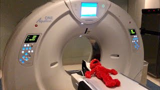 Elmo Gets A Ct Scan