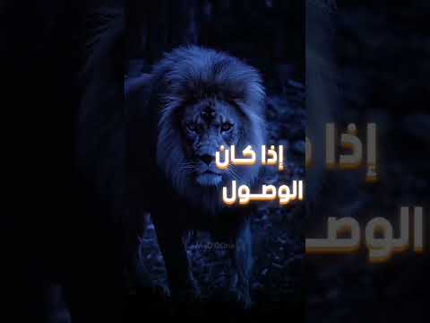 وبكل نرجسية أقول علم النفس النرجس الجديدة النرجسية مقاطع نرجسية قصيرة فلسفة اقتباسات