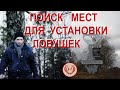 Поиск мест для установки ловушек на бродячие рои пчёл. Национальный парк. Выбираю деревья