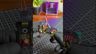 Push Button Control with Microbit #microbit #srituhobby @sritu_hobby