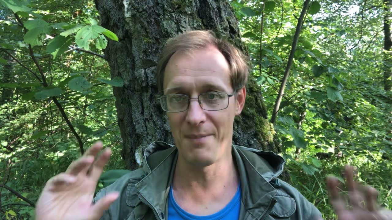 Накопление обмана в США. Американцы теряют веру