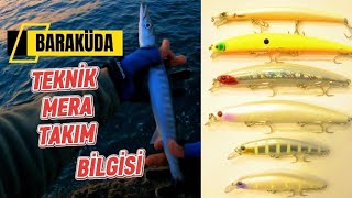 Baraküda Avı Teknikleri Ve Taktikleri