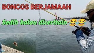 MANCING DAM MERAH TANJUNG PRIOK 