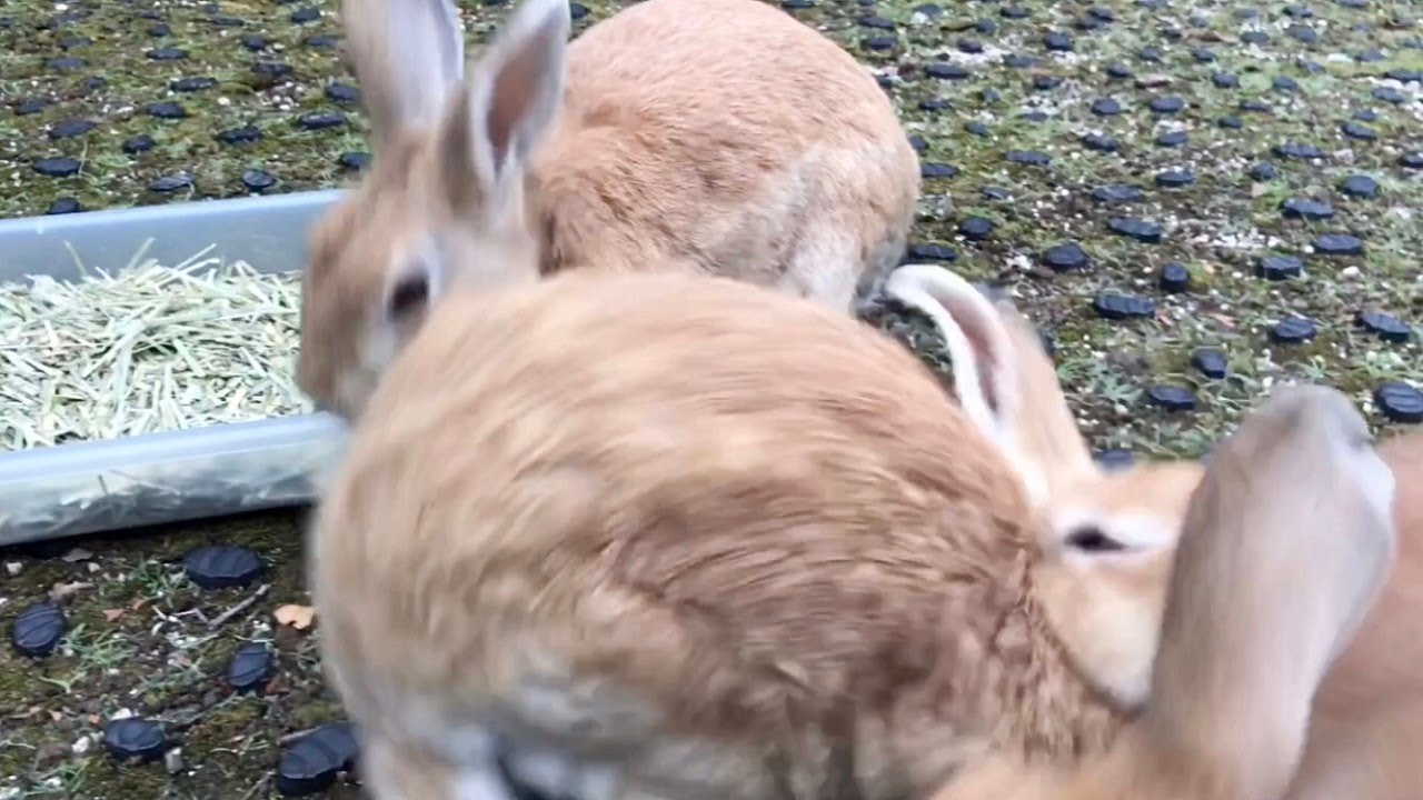 【喧嘩】一瞬の出来事でした…