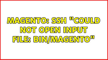 Magento: SSH "Could not open input file: bin/magento" (4 Solutions!!)