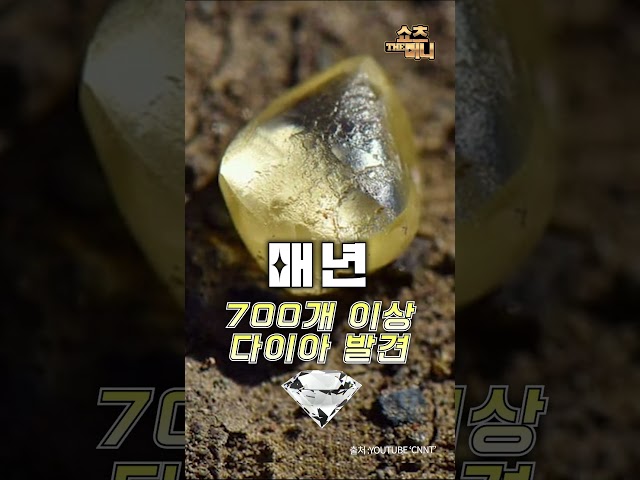 만원으로 20억 벌기, 다이아가 널려있는 이 곳의 정체