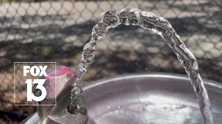 Algae bloom to blame for strange smelling tap water in Manatee County