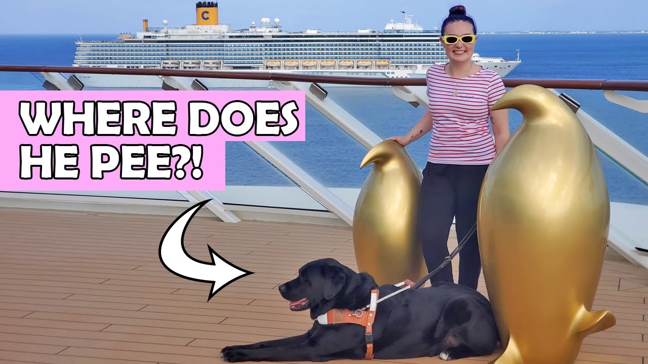 I Took My Guide Dog On A Cruise Ship For A Week!
