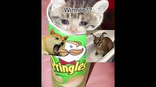 Doge vs floppa??!!!!!