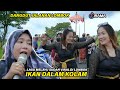 Lagu melayu ini sudah ramai di rekues penonton dangdut jalanan irama dopang live terbaru 2023