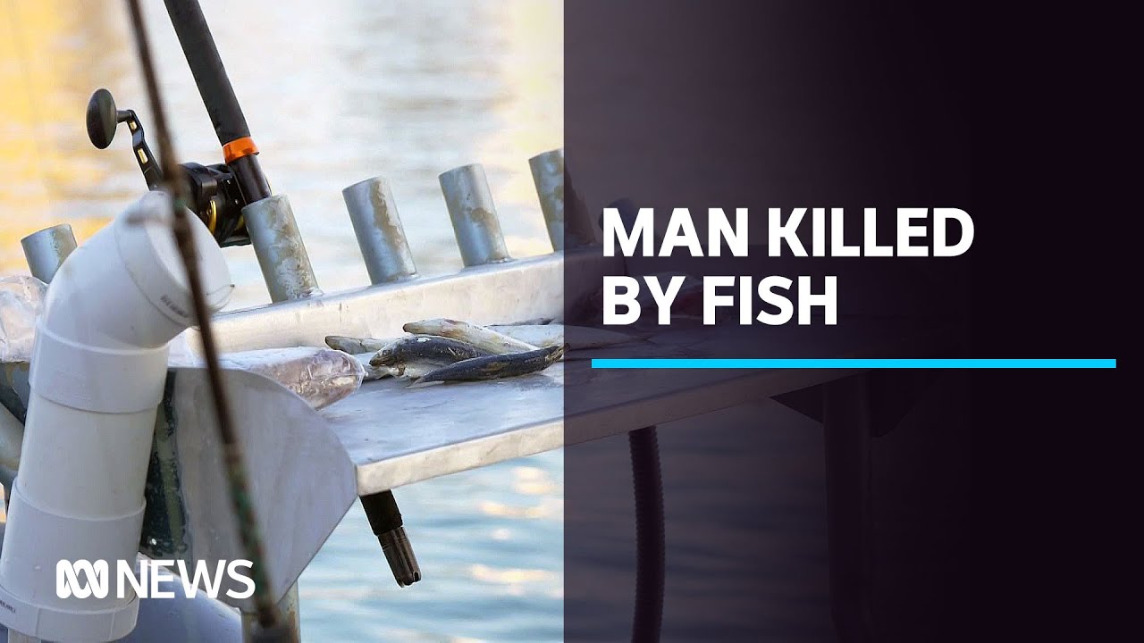 Fish launches into boat off Darwin killing 56-year-old man, NT Police ...