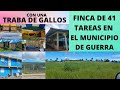 Finca de 41 tareas y una traba de gallos en rd  venta de traba de gallos en el municipio de guerra