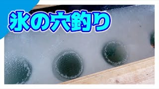 凍った湖に穴を開けて魚を狙う！！