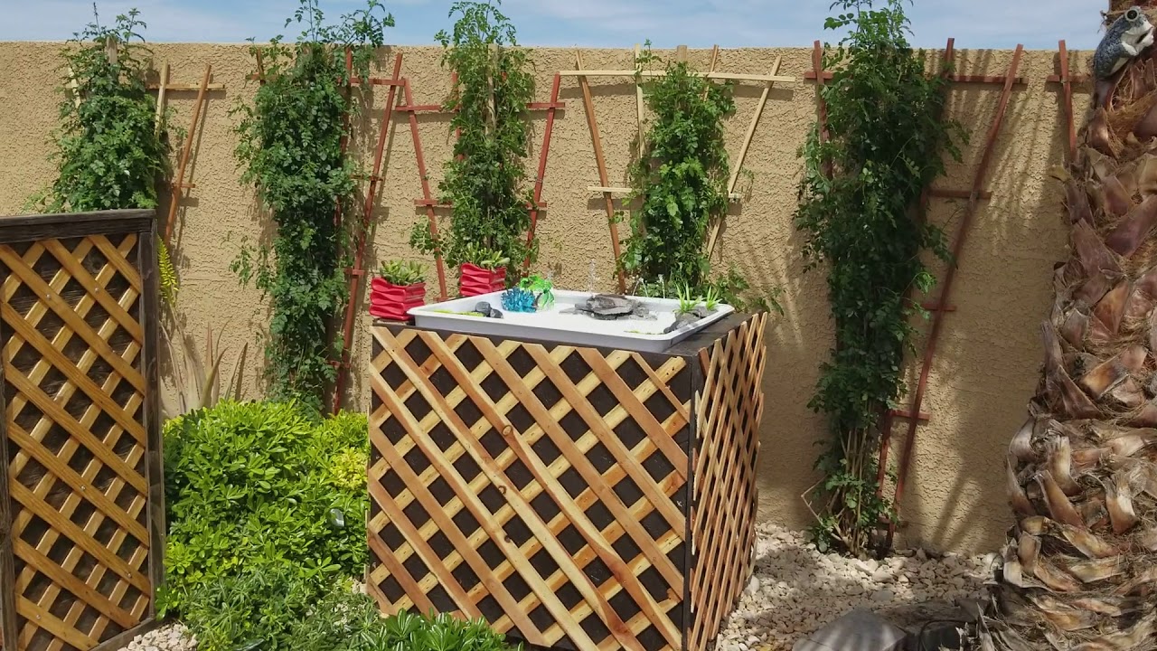 Homemade Hummingbird Bath 2018 YouTube