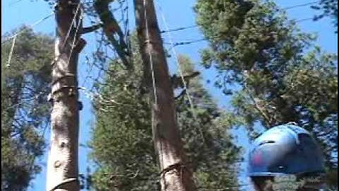 Gold Arrow Camp Video Produced by CAMP TV