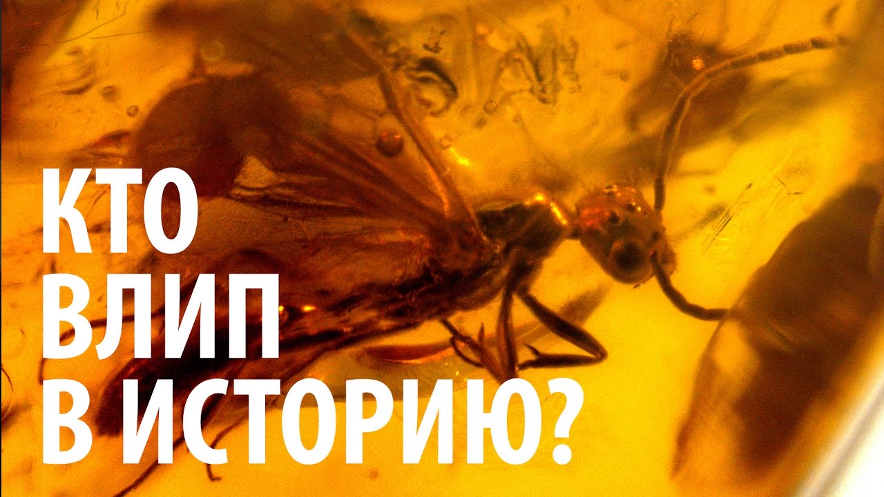 КТО ВЛИП В ИСТОРИЮ? Ярослав Попов | Палеонтологические истории #005