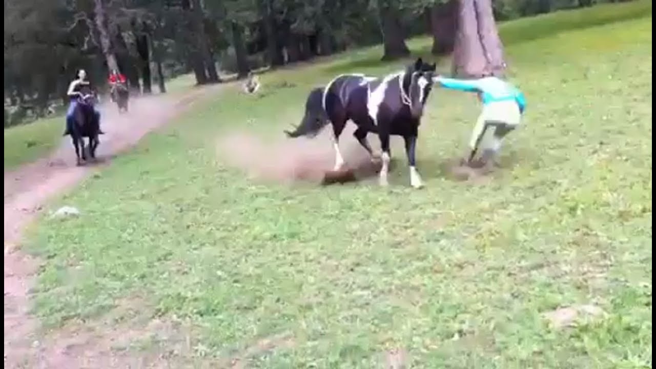 Girl Falls Off Of Horse YouTube