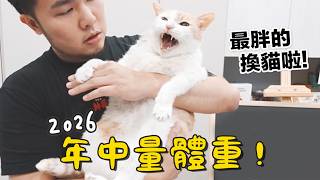 【黃阿瑪的後宮生活】2026年中量體重！最胖的換貓啦！
