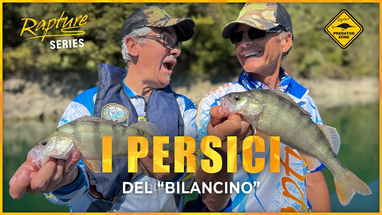 SPINNING FISHING ai PERSICI REALI del BILANCINO: il divertimento è ASSICURATO 😎