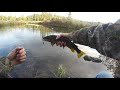 Brown trout fishing thompson river in montana hazekampoutdoors