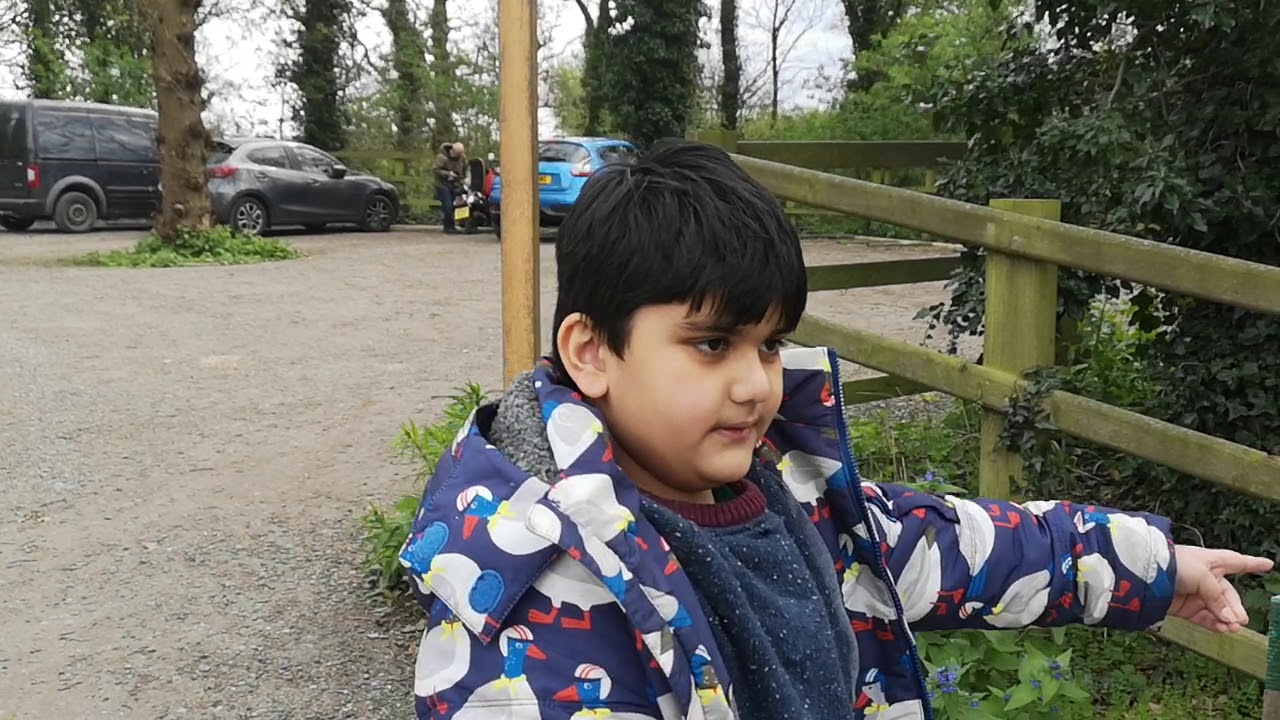 RSPB Burton Mere wetlands nature reserve