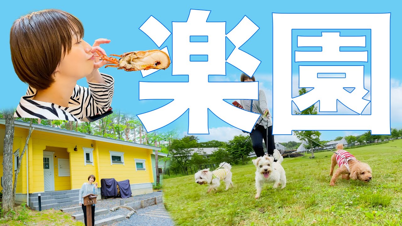 【エンゼルフォレスト那須白河】人とワンコの楽園！【初めてのアフレコ】泊まったお部屋を詳しく紹介しています！