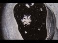 Polymers and Snowflakes: How to save a snowflake forever!